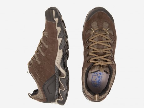 Herren Outdoorschuhe Portland GTX, mocca, 9