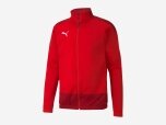 Herren Jacke teamGOAL 23