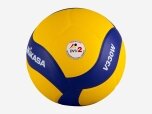 Unisex Volleyball V330W