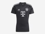 Herren T-Shirt FC Bayern München Torwarttrikot 2023/24