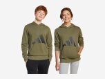Kinder Pullover Kapuzensweat Essentials, OLISTR/BLACK, 176